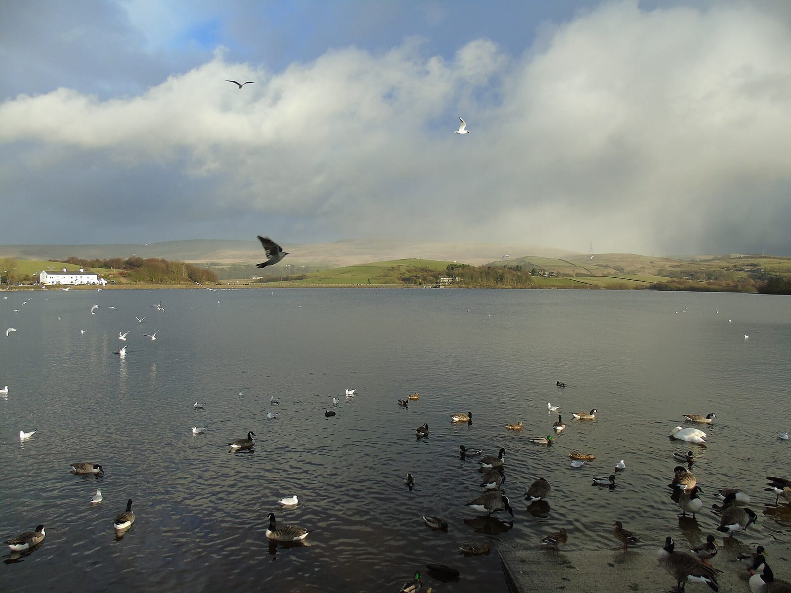 Lakeside Cafe photo 4