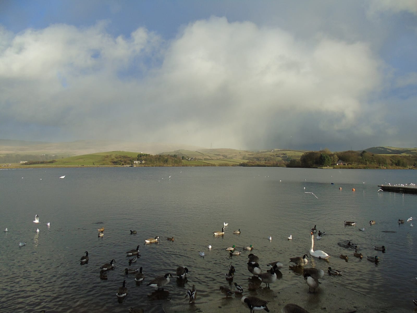 Lakeside Cafe photo 3