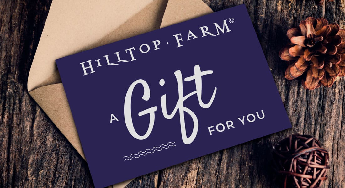 Hilltop Farm & Zack's Barn photo 6