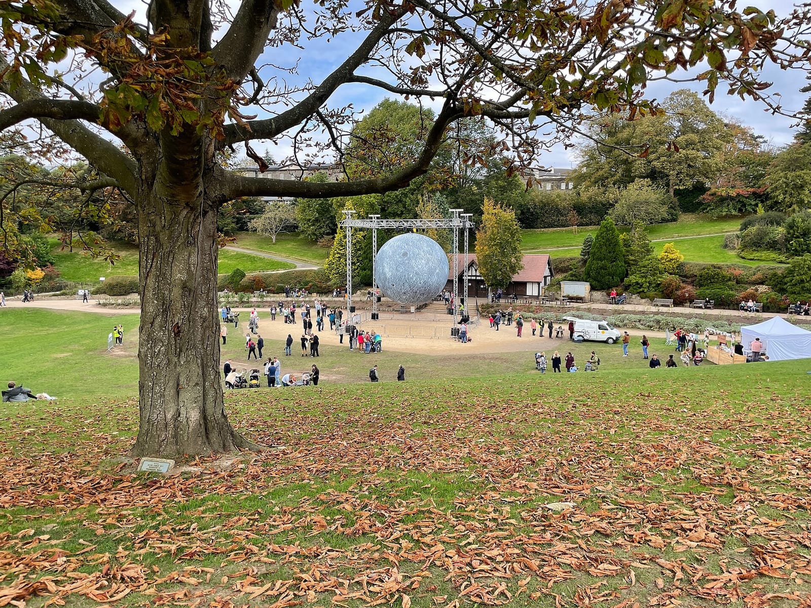 Calverley Grounds Cafe photo 2