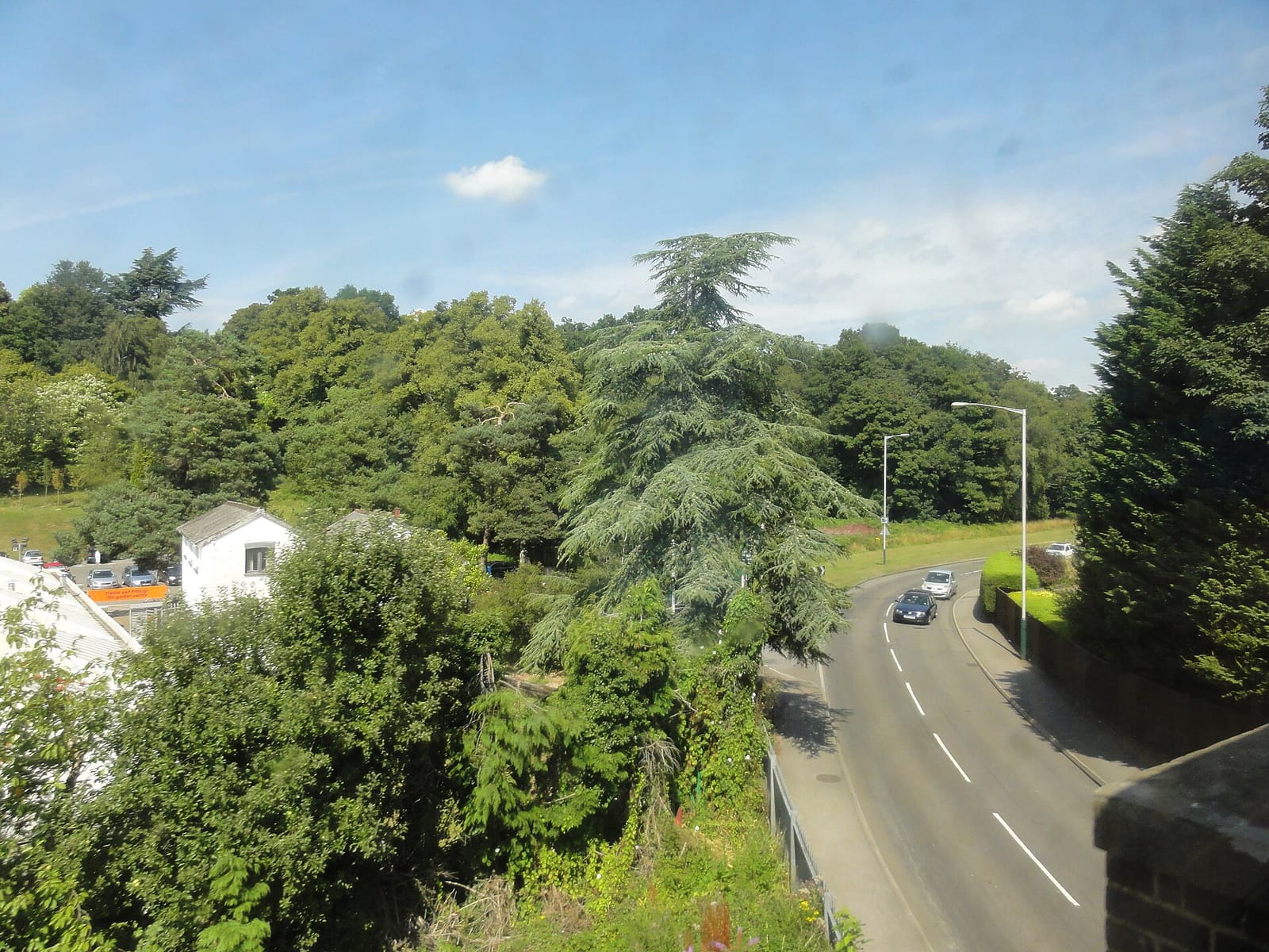 Tunbridge Wells Garden Centre photo 10