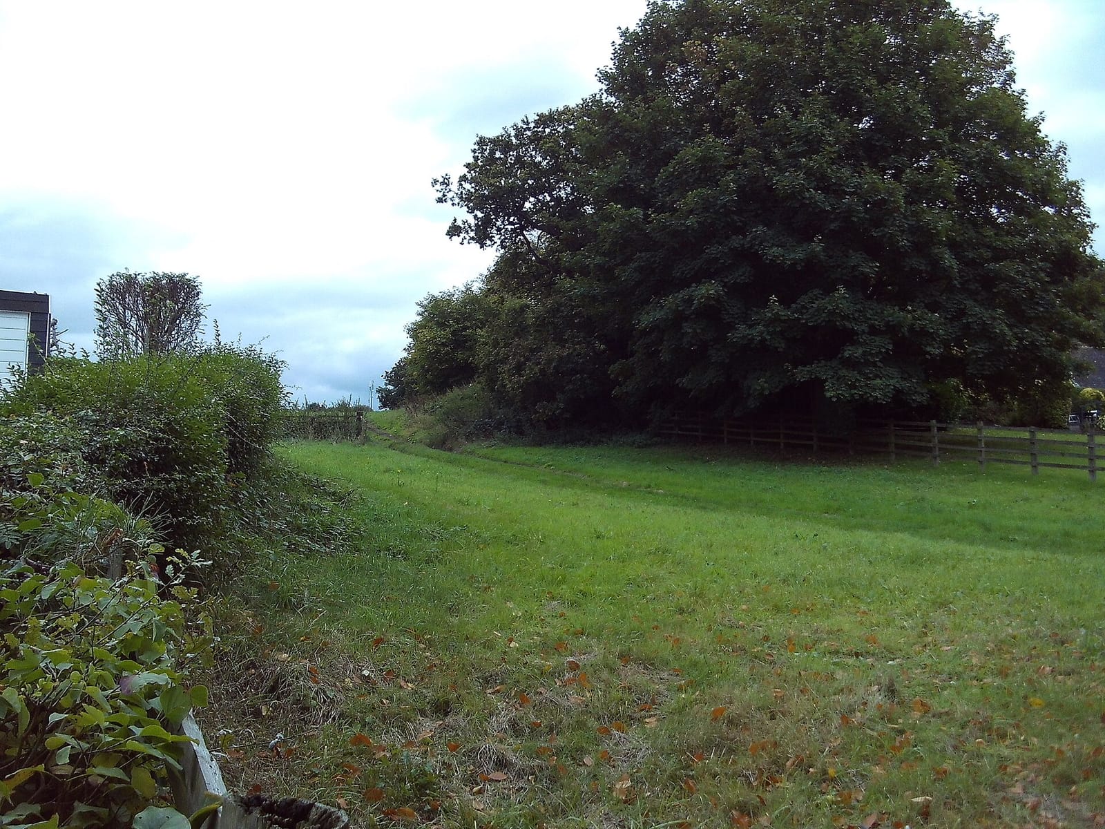 Brooklands tea room photo 2