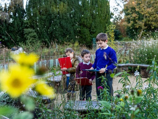 Wolseley Centre Kingfisher Cafe - Staffordshire Wildlife Trust photo 4