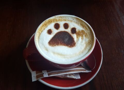 Wolseley Centre Kingfisher Cafe - Staffordshire Wildlife Trust photo 7