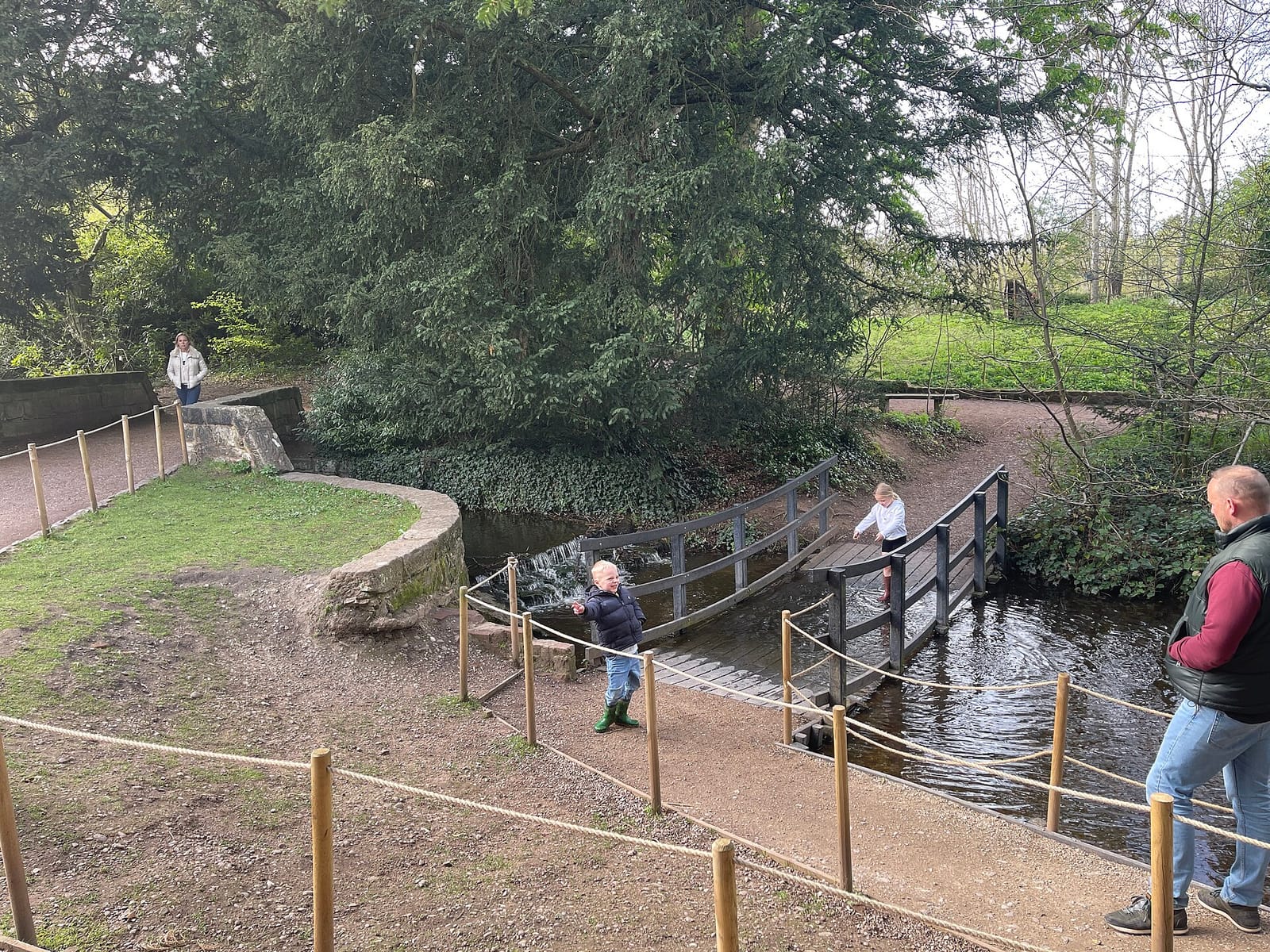 Wolseley Centre Kingfisher Cafe - Staffordshire Wildlife Trust photo 8