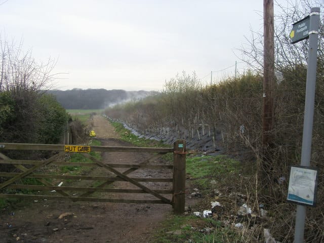 pond farm cafe photo 2