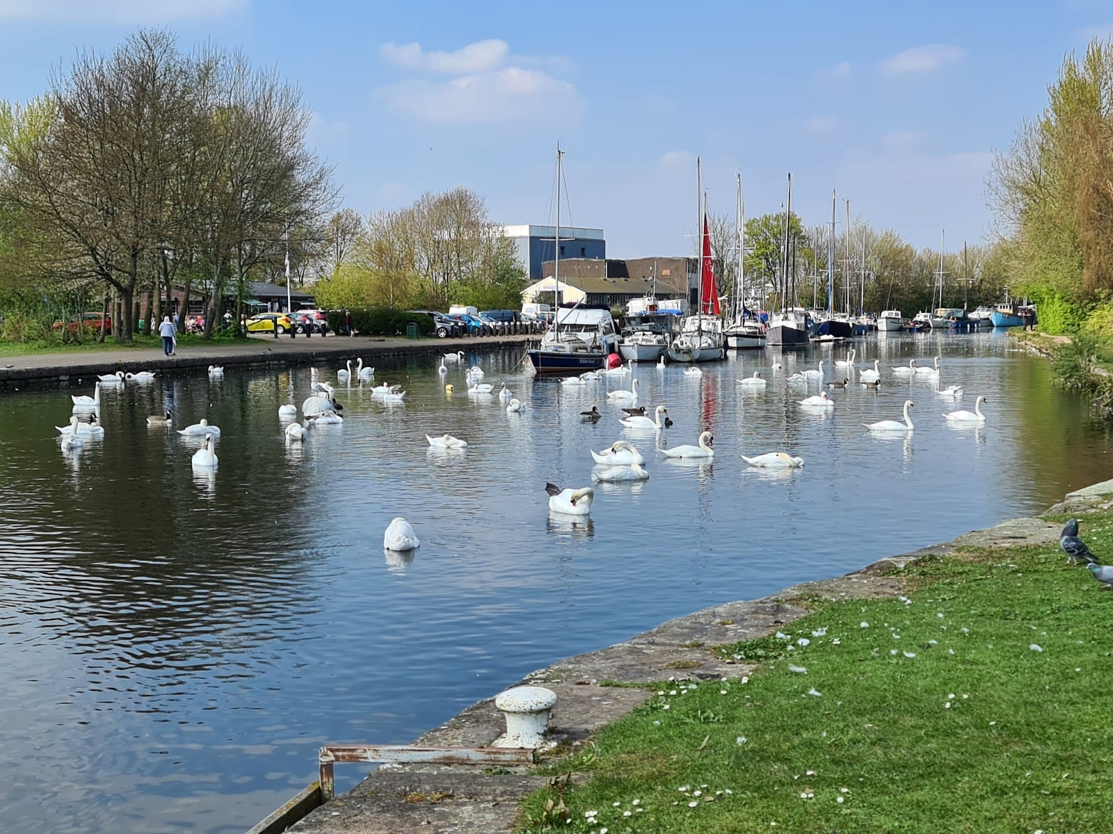 West Bank Boat Club & Cafe