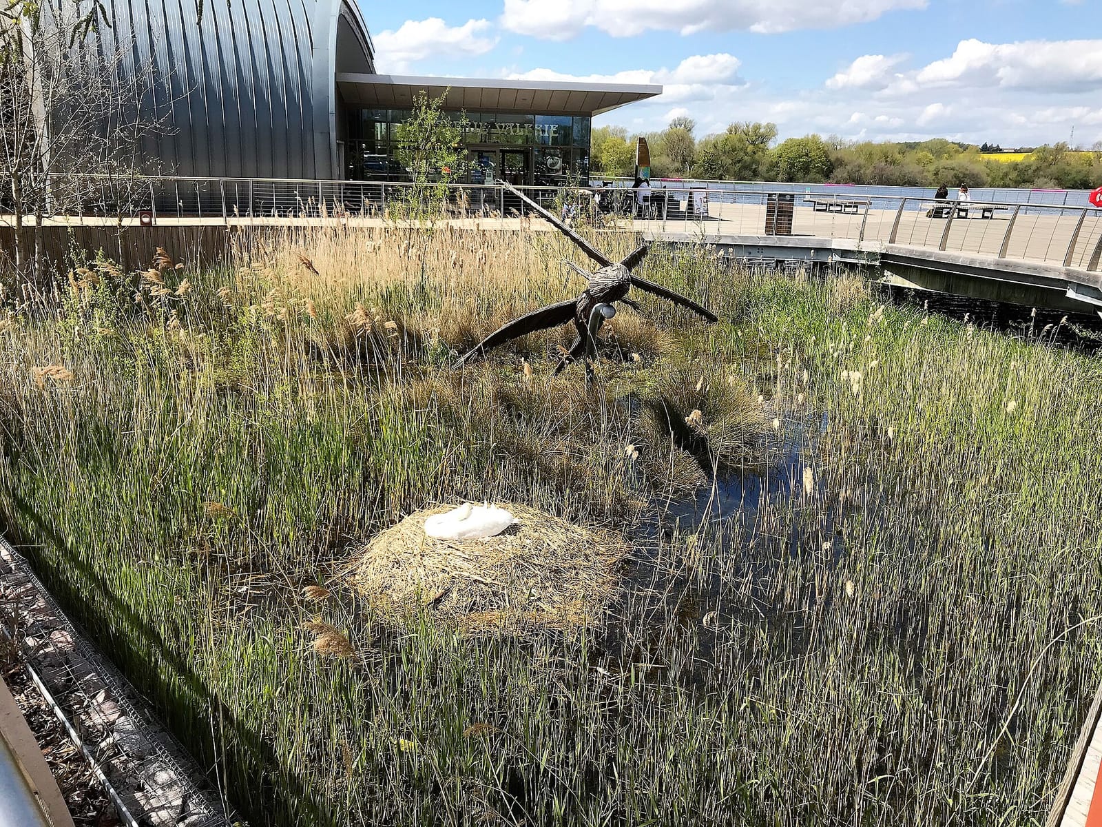 Bewiched Coffee Rushden Lakes photo 4