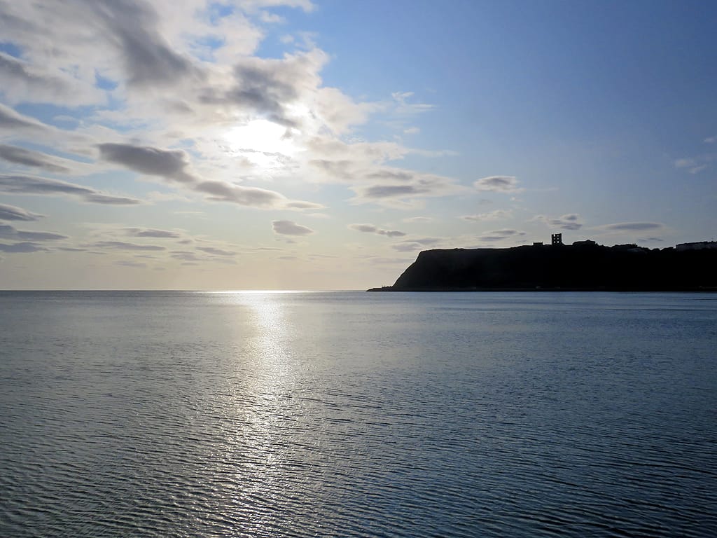 Me'N'u Scarborough photo 5