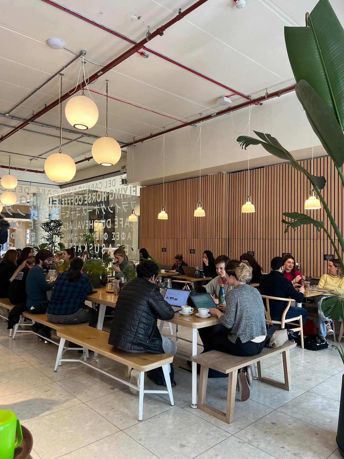 Flying Horse Coffee - White City