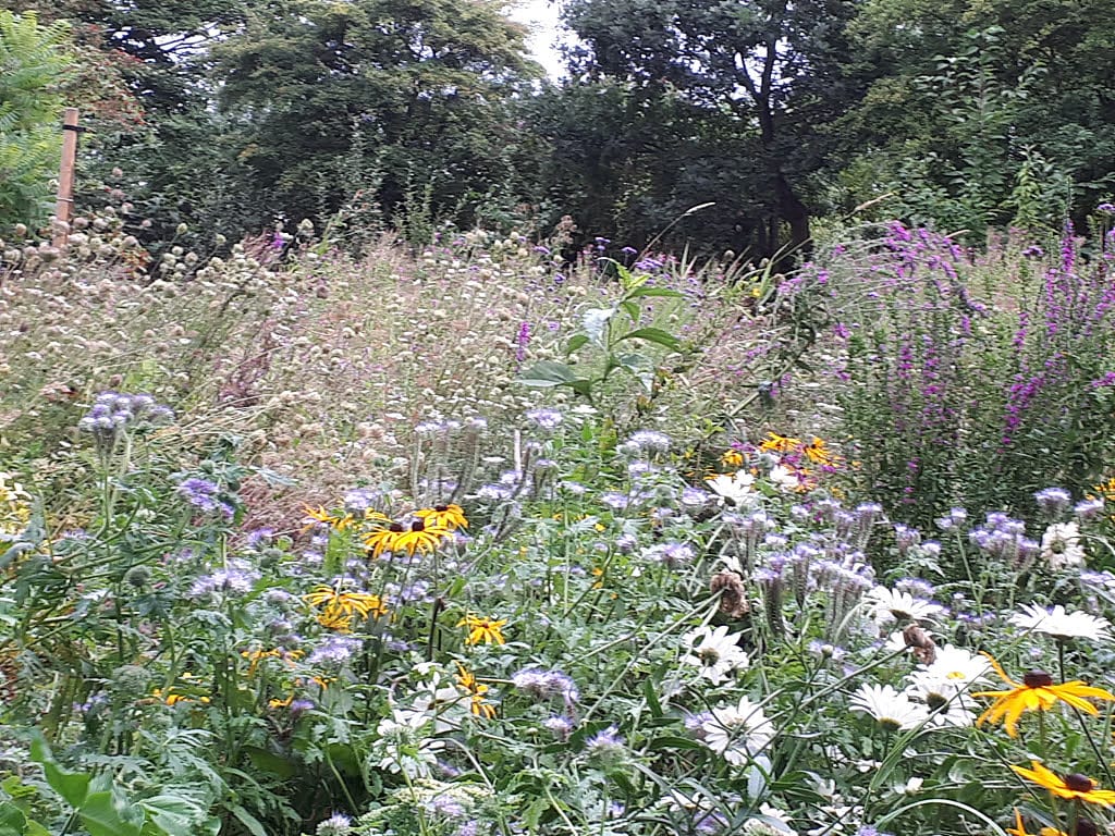 Higher Ground, Hirst Lock photo 3