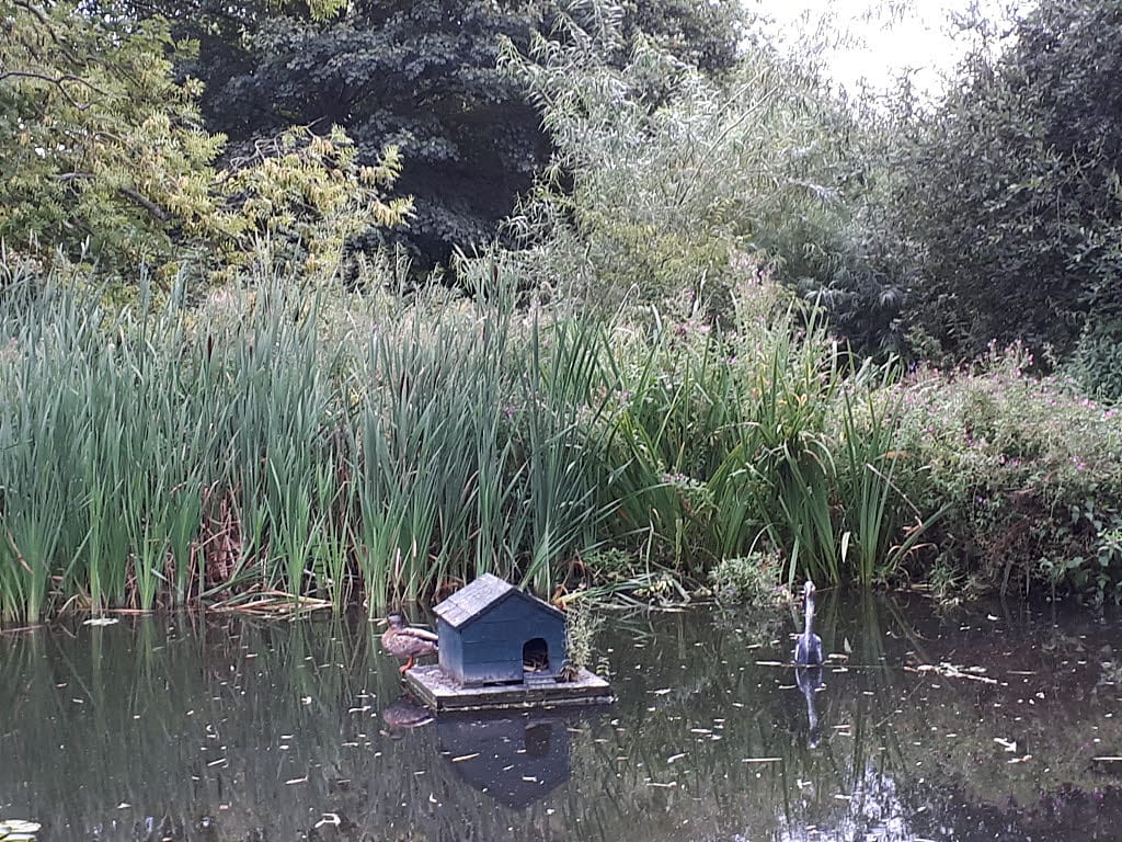 Higher Ground, Hirst Lock photo 4