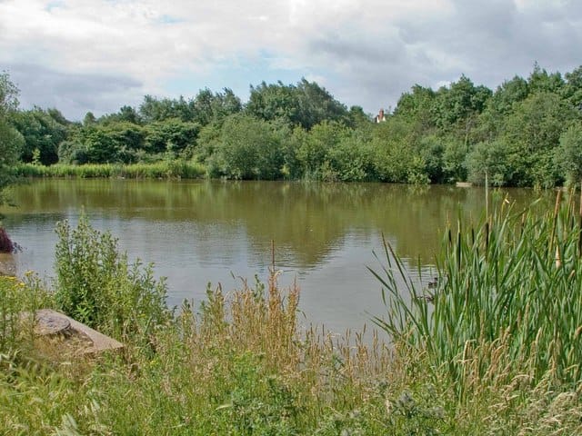 Radbrook Community Cafe photo 4