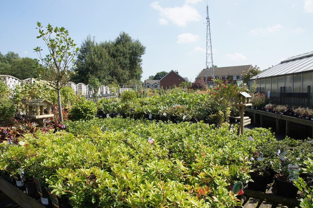 Pimbo Garden Centre & Coffee Shop photo 4