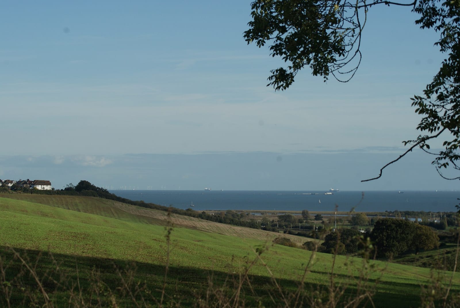 Hadleigh Tearoom