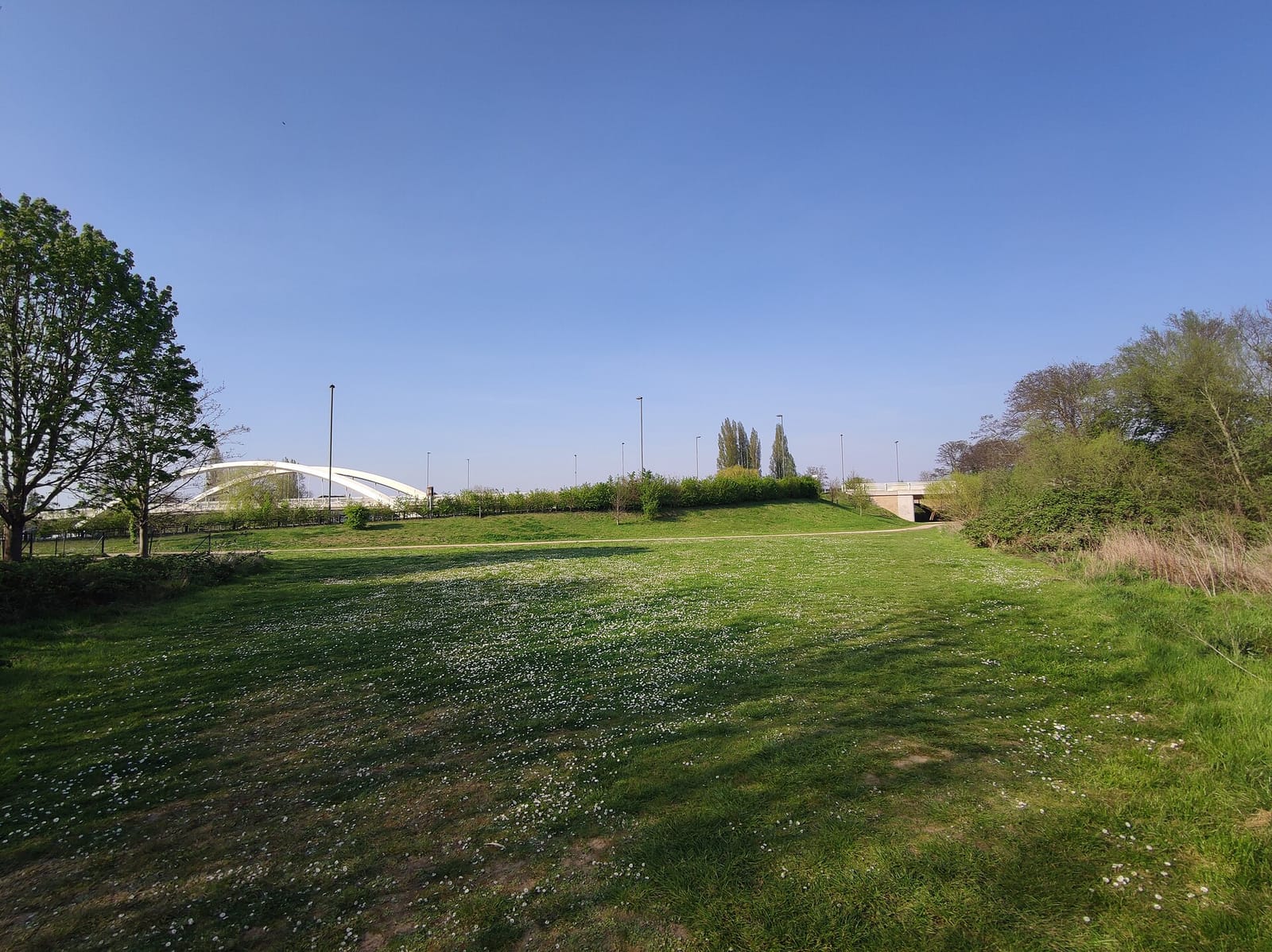 WILDE at Walton photo 2