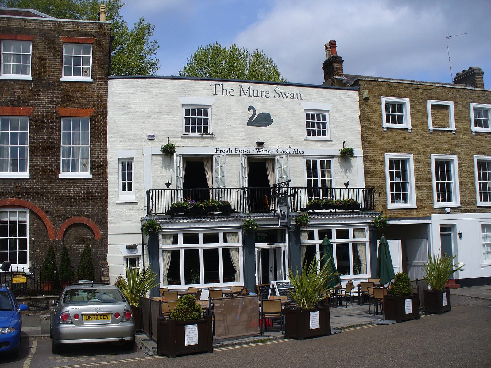 The Coppernose photo 8