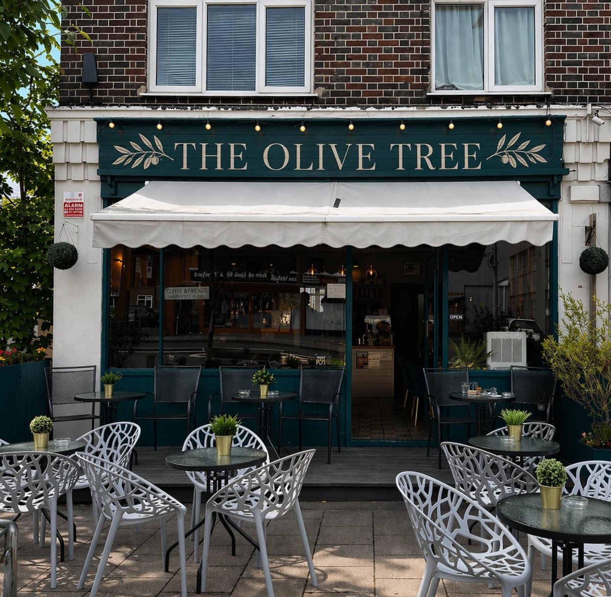 The Olive Tree