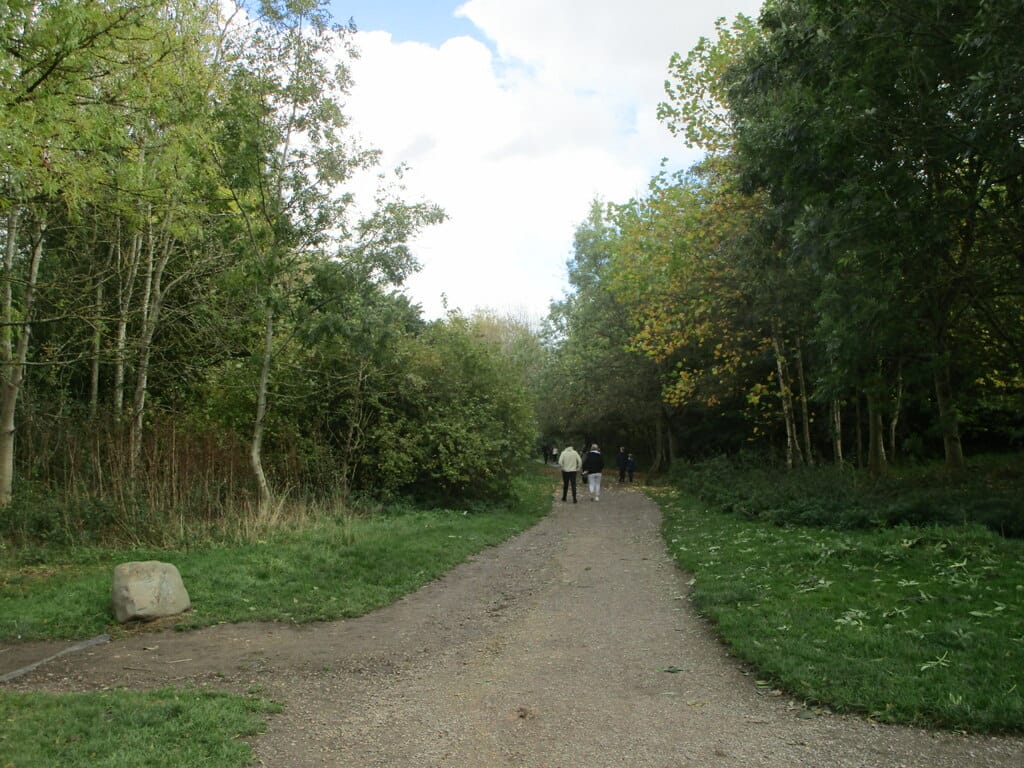Brierley Forest Park Visitor Centre and Cafe photo 3