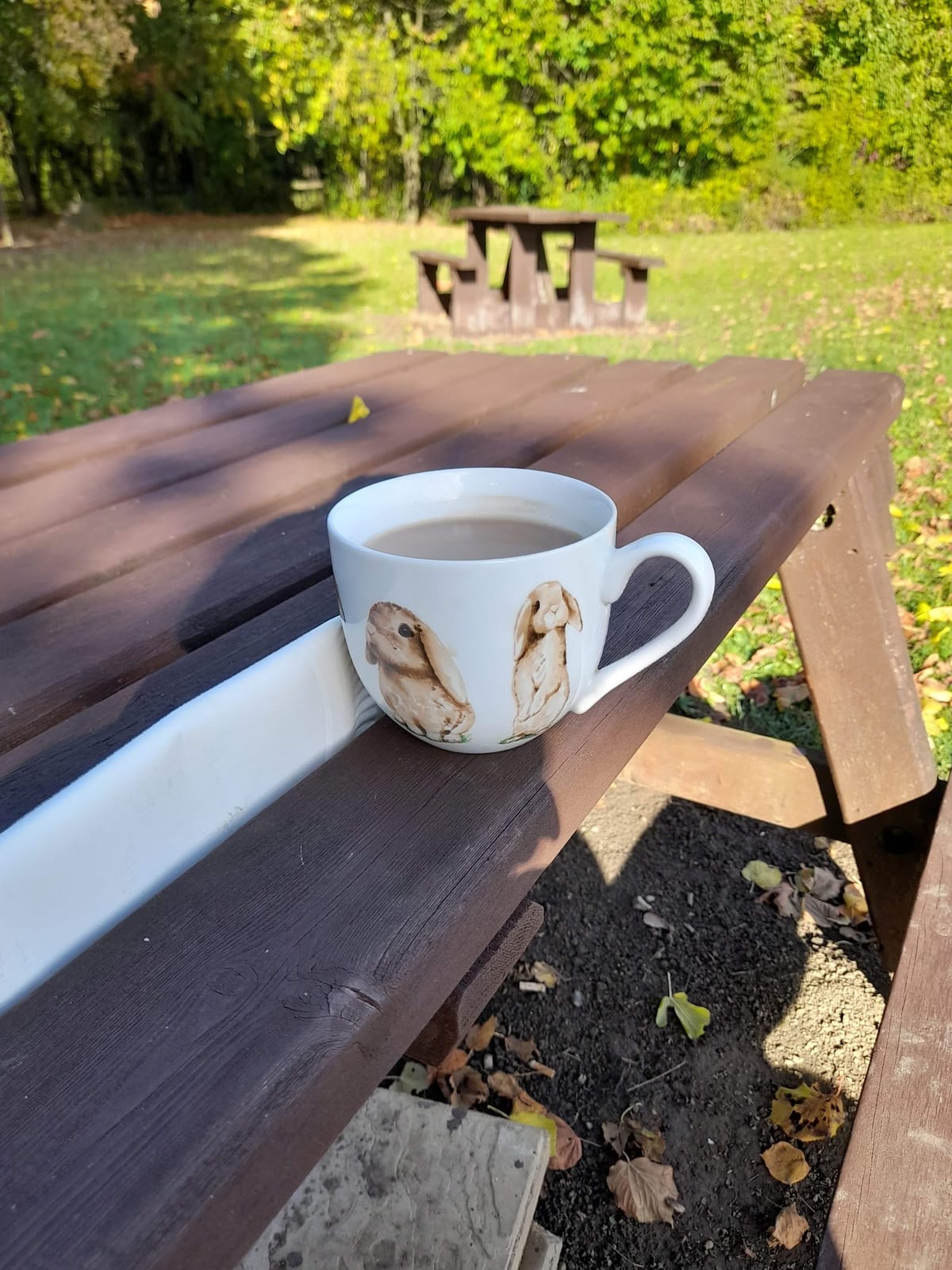 Teversal Visitors Centre & Cafe
