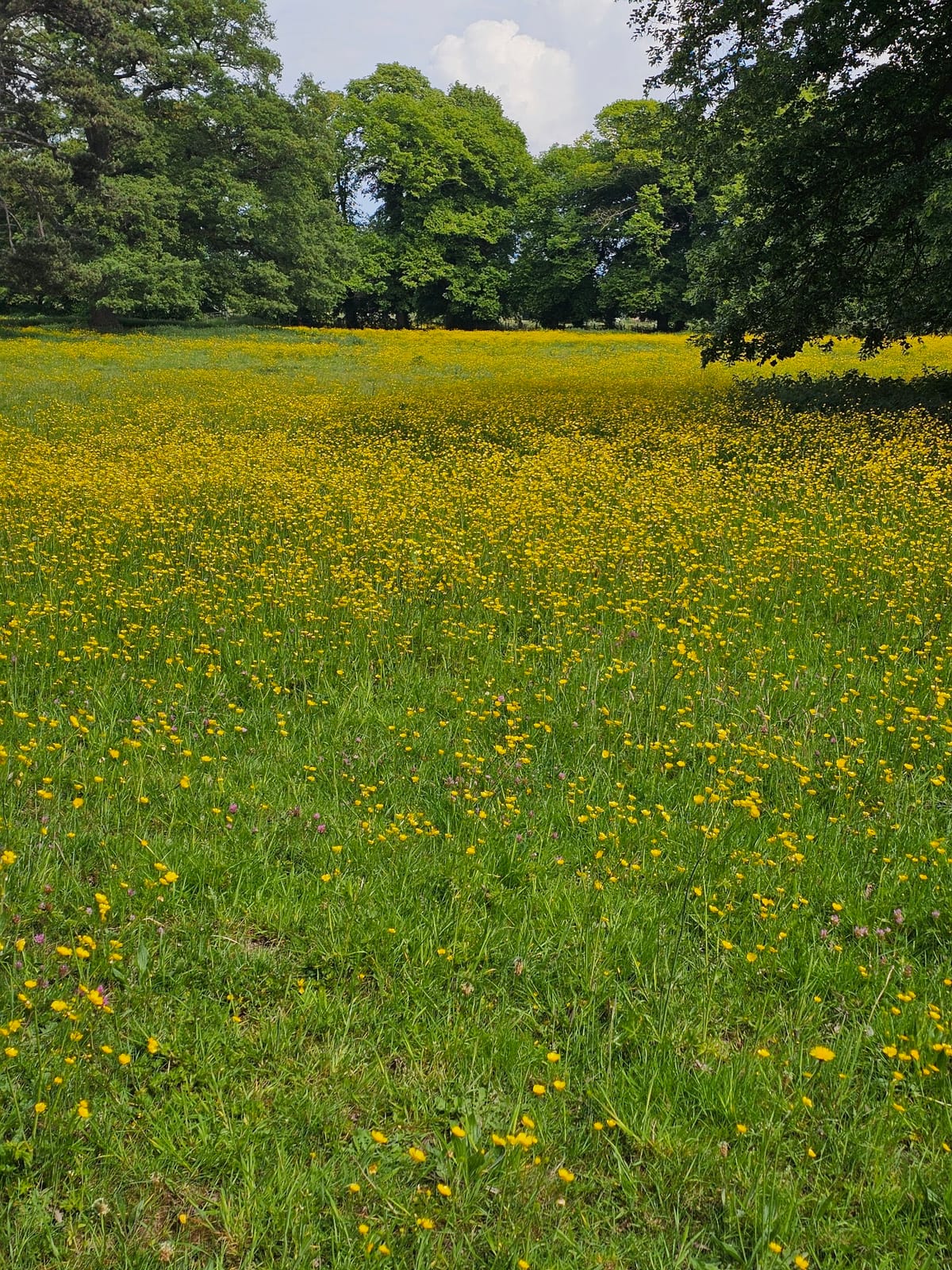 Henwick Manor Farm Cafe