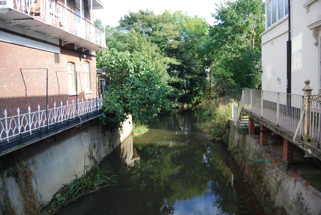 Niihaw Tonbridge photo 4