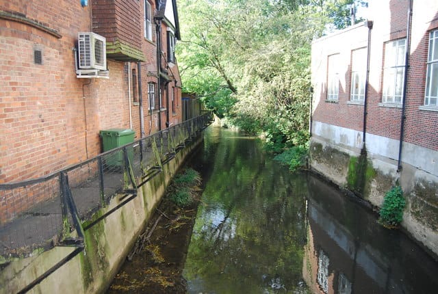Niihaw Tonbridge photo 3