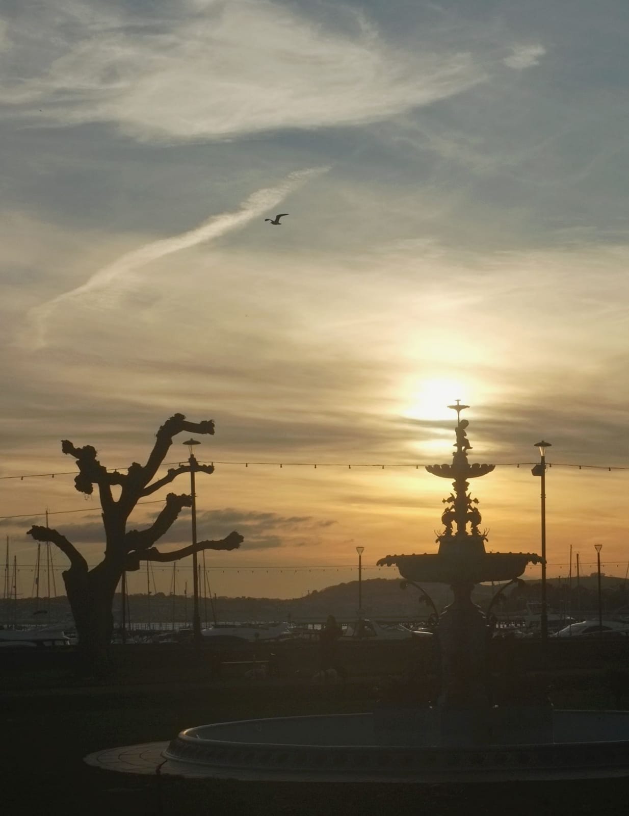 Bay Cafe photo 4