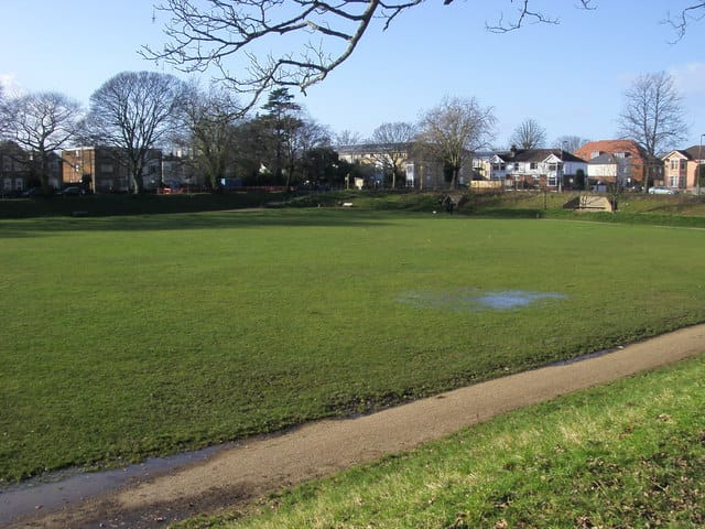 Friends of St. James' Park photo 4