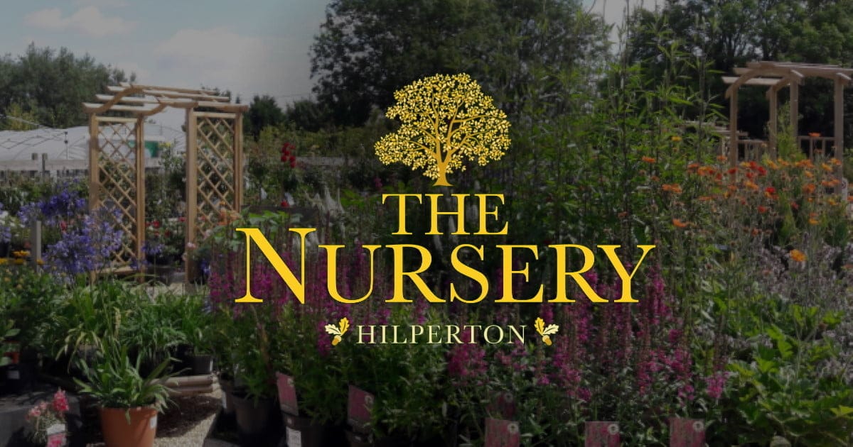 The Nursery