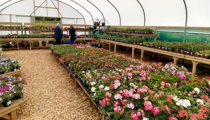 The Nursery photo 2