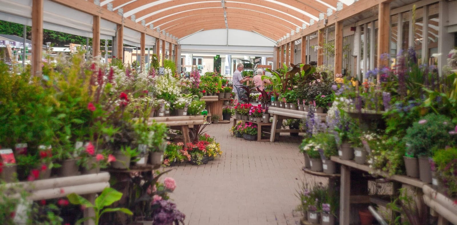 Trowbridge Garden Centre photo 2