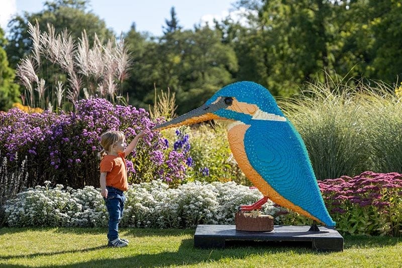RHS Garden Bridgewater photo 4