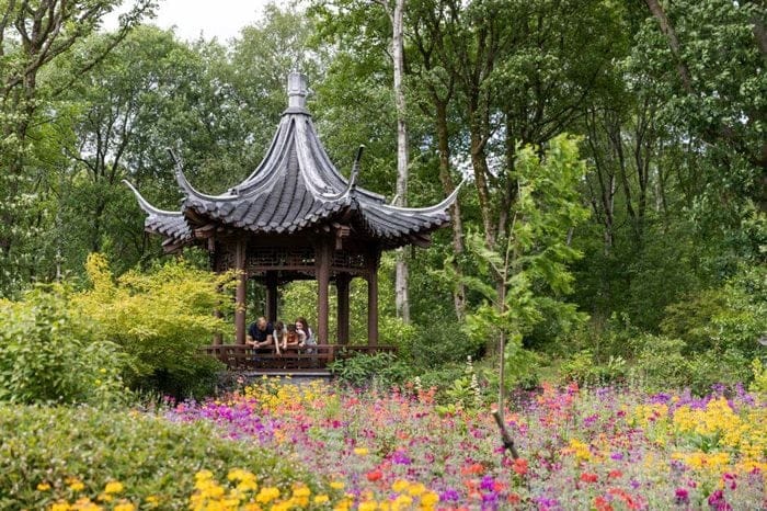RHS Garden Bridgewater photo 2