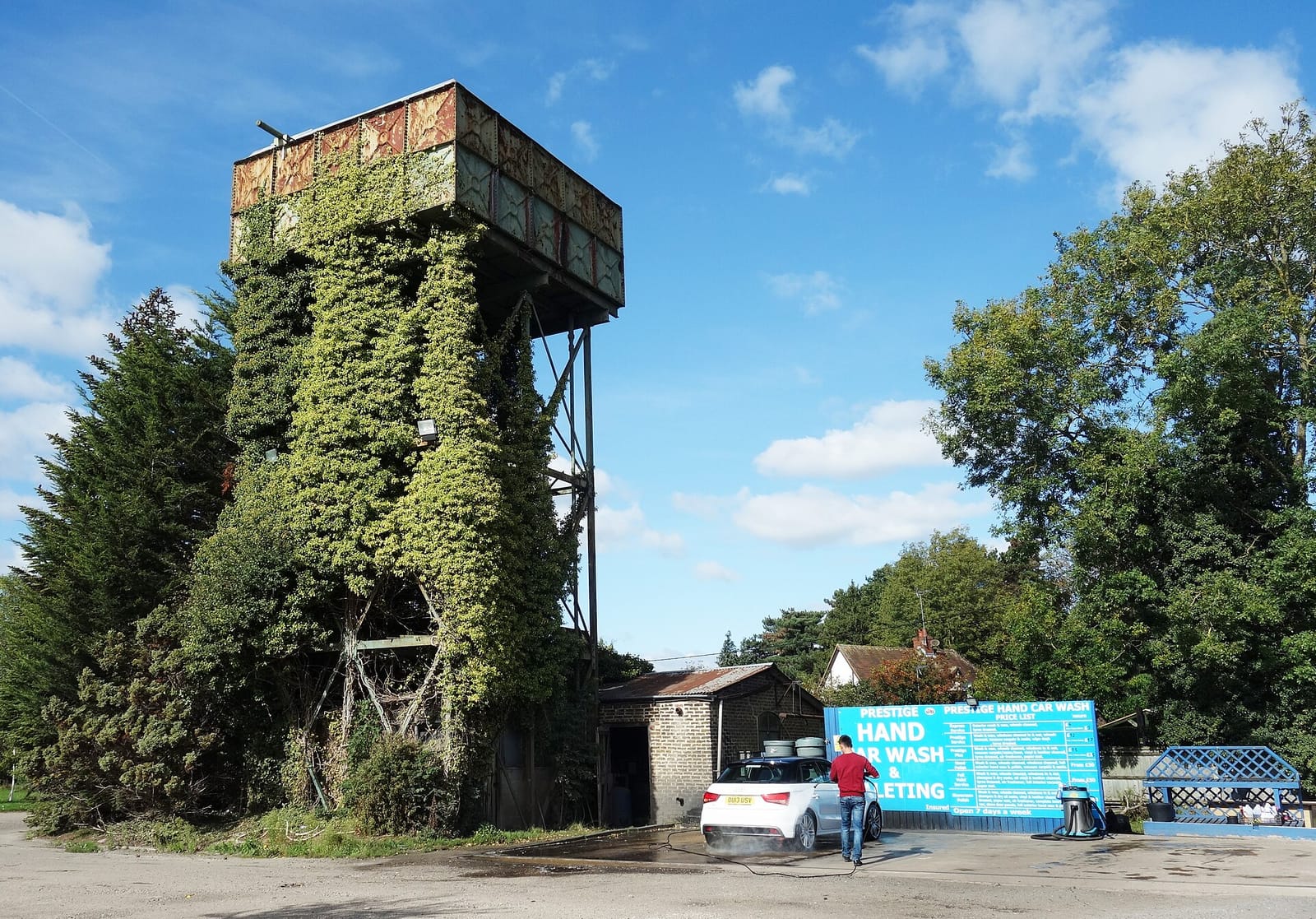 Flowerland photo 3
