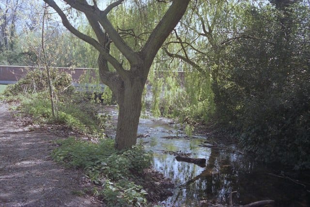 Colne Valley Cafe photo 5