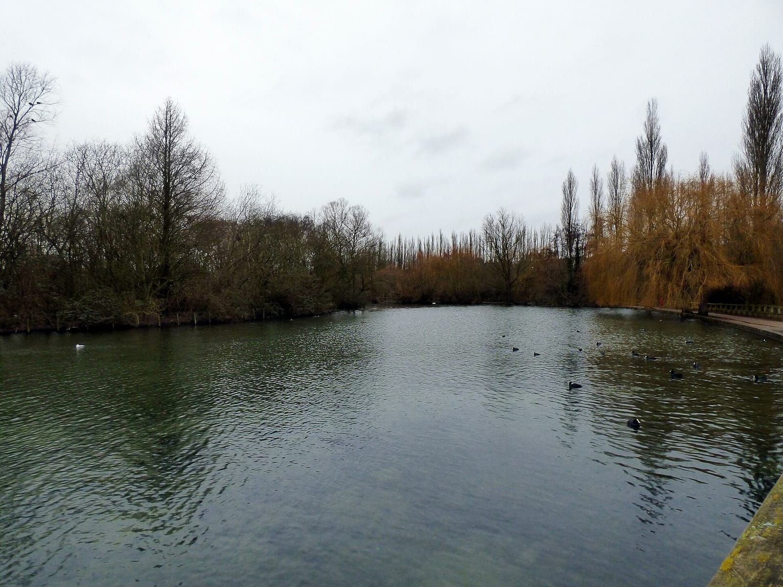 Better! Stanborough Park photo 4