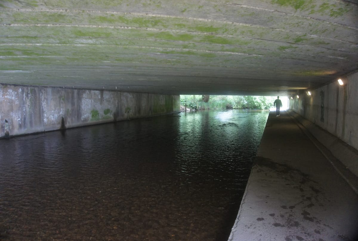 Better! Stanborough Park photo 2
