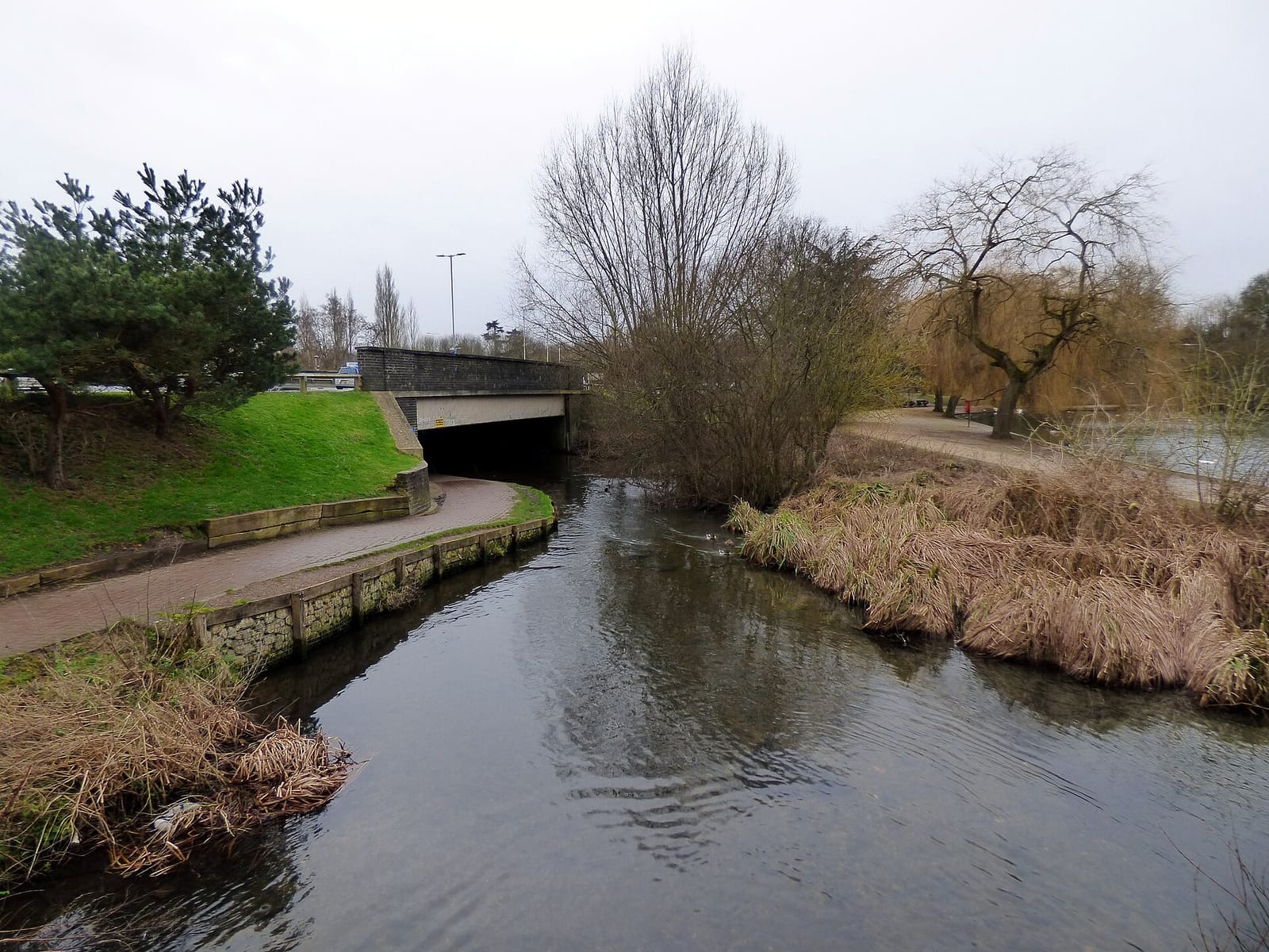 Better! Stanborough Park photo 3