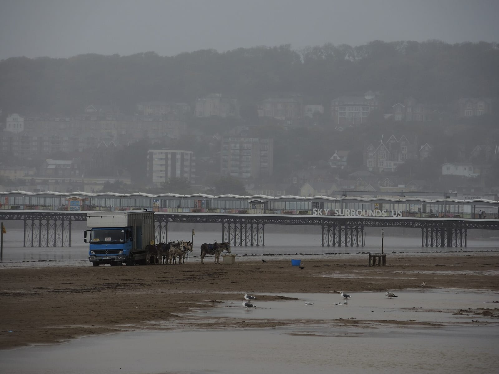 Cove Kiosk photo 5