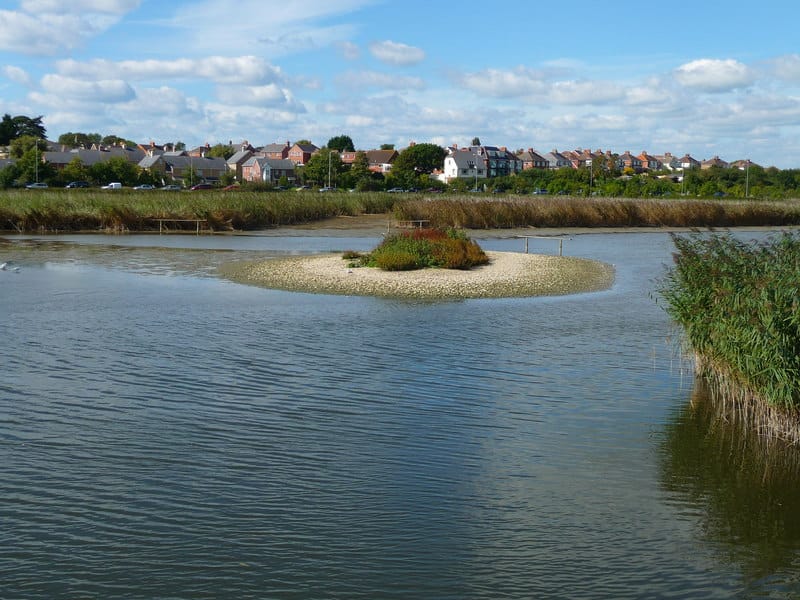 RSPB Radipole Lake photo 10