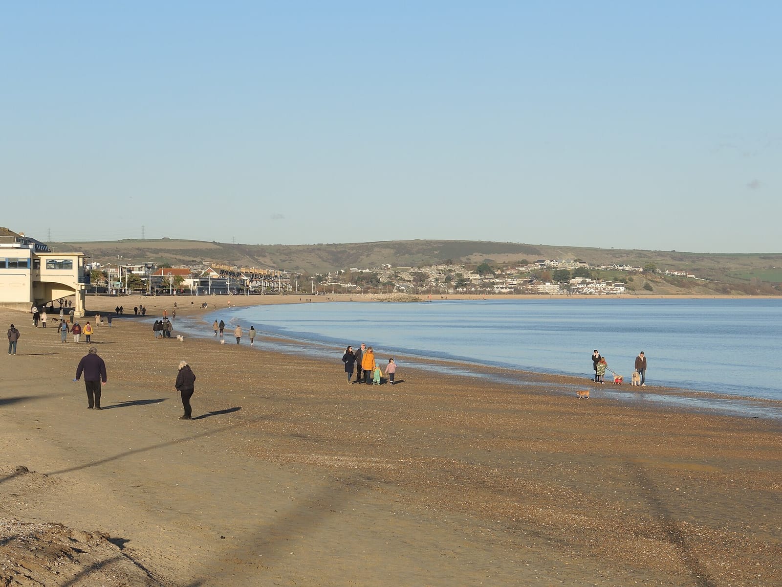 The Sunflower Cafe Beach Terrace photo 3