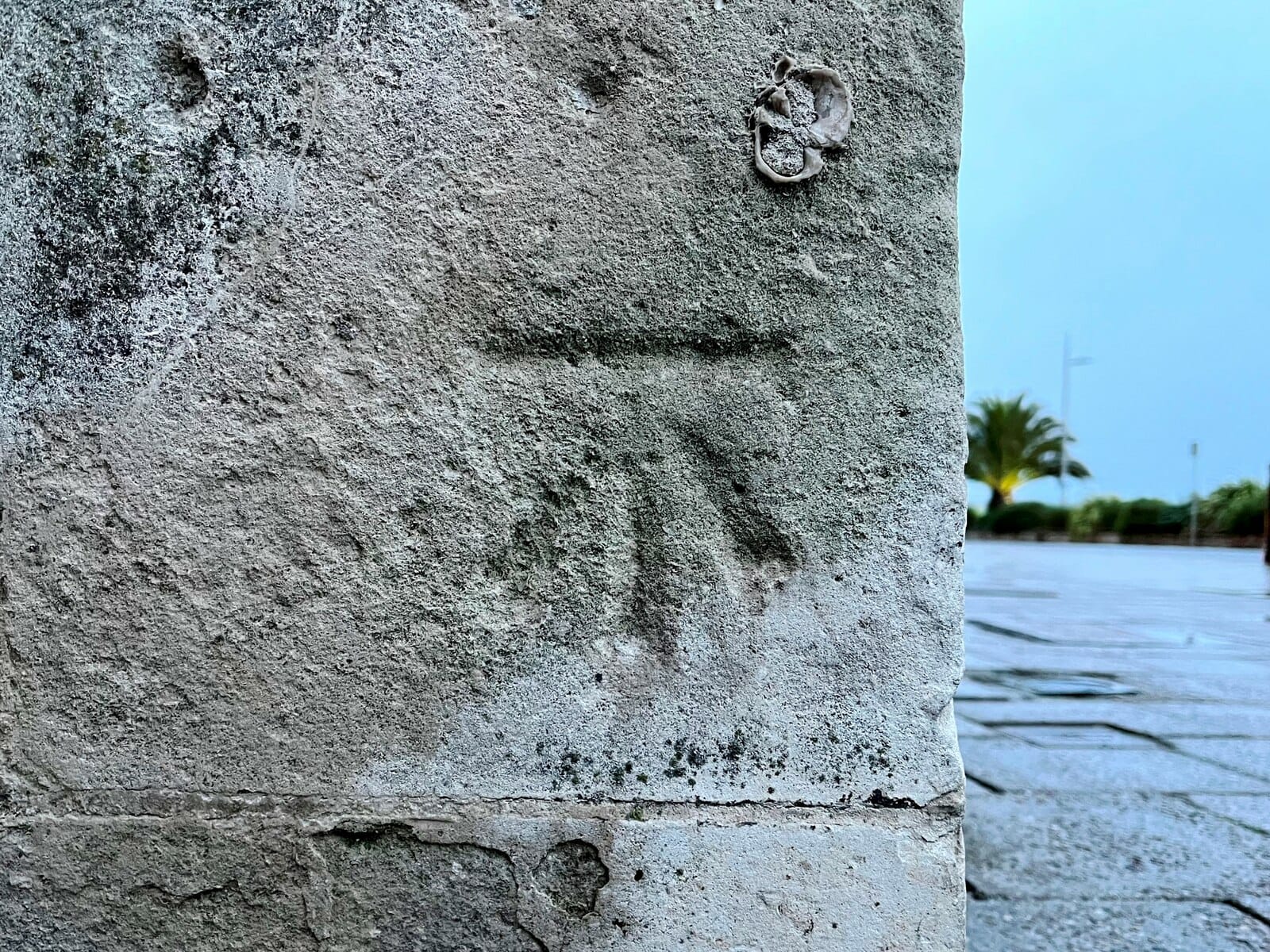 Caffeine 44 photo 4