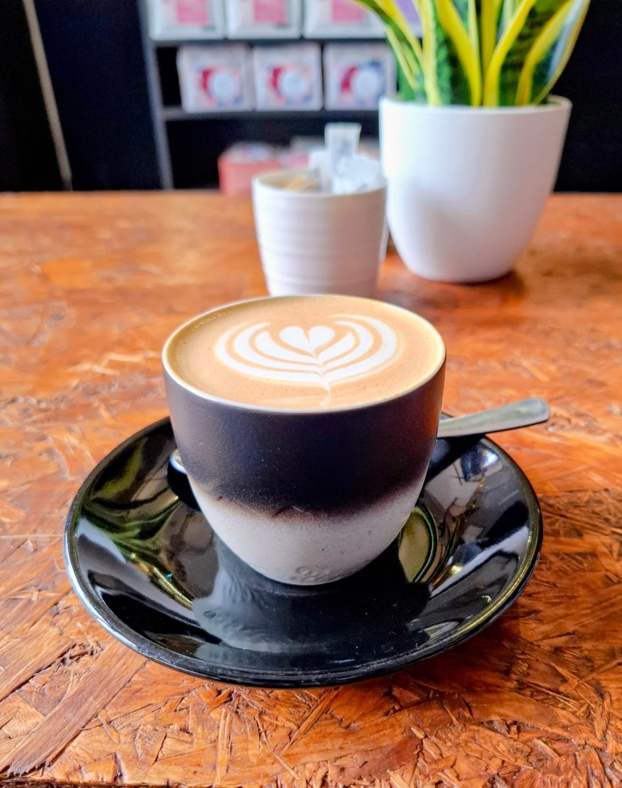 Wombat Wisdom Coffee & Tea Shop
