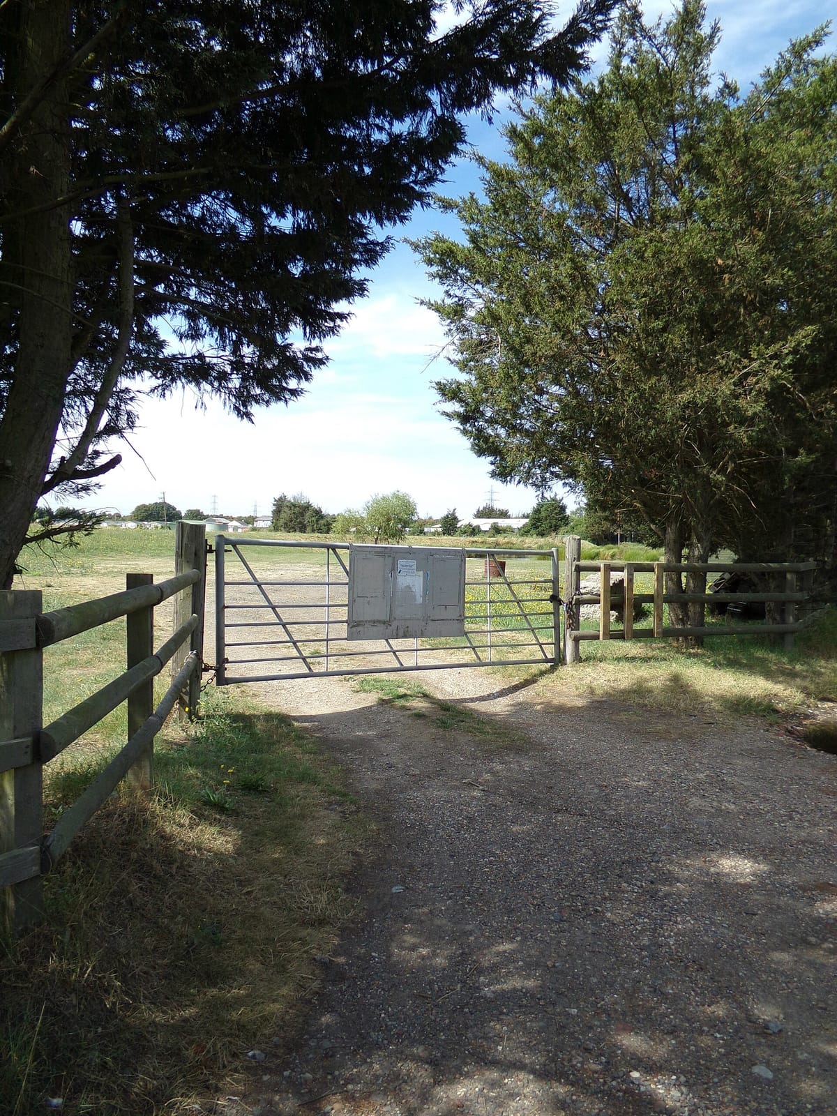 Haybarn Tea Rooms photo 4