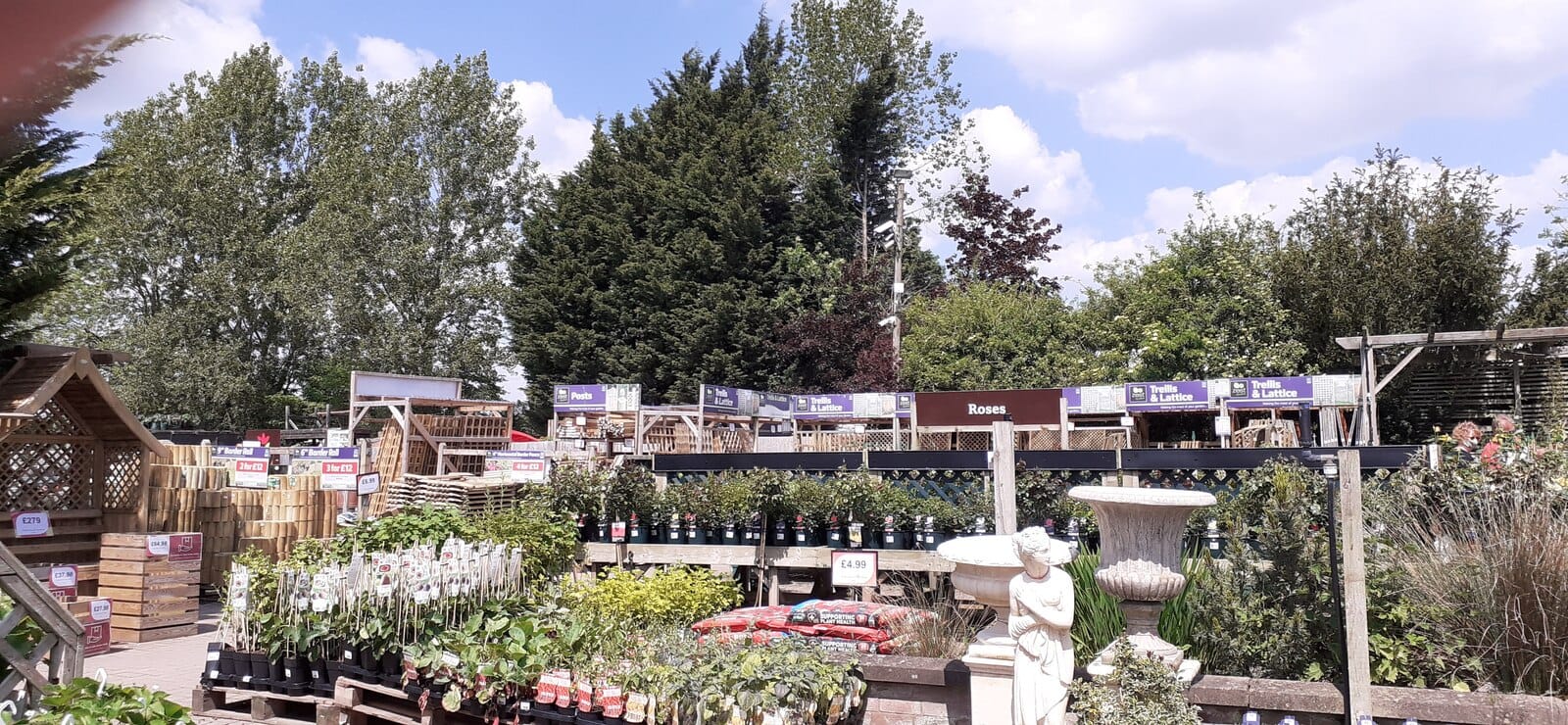 Chives Café & Restaurant photo 3
