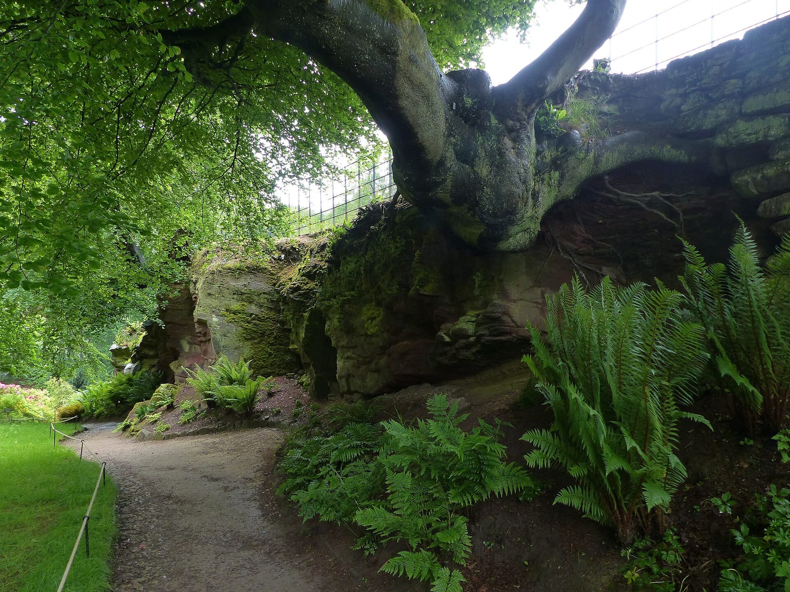 Quarry Bank photo 10