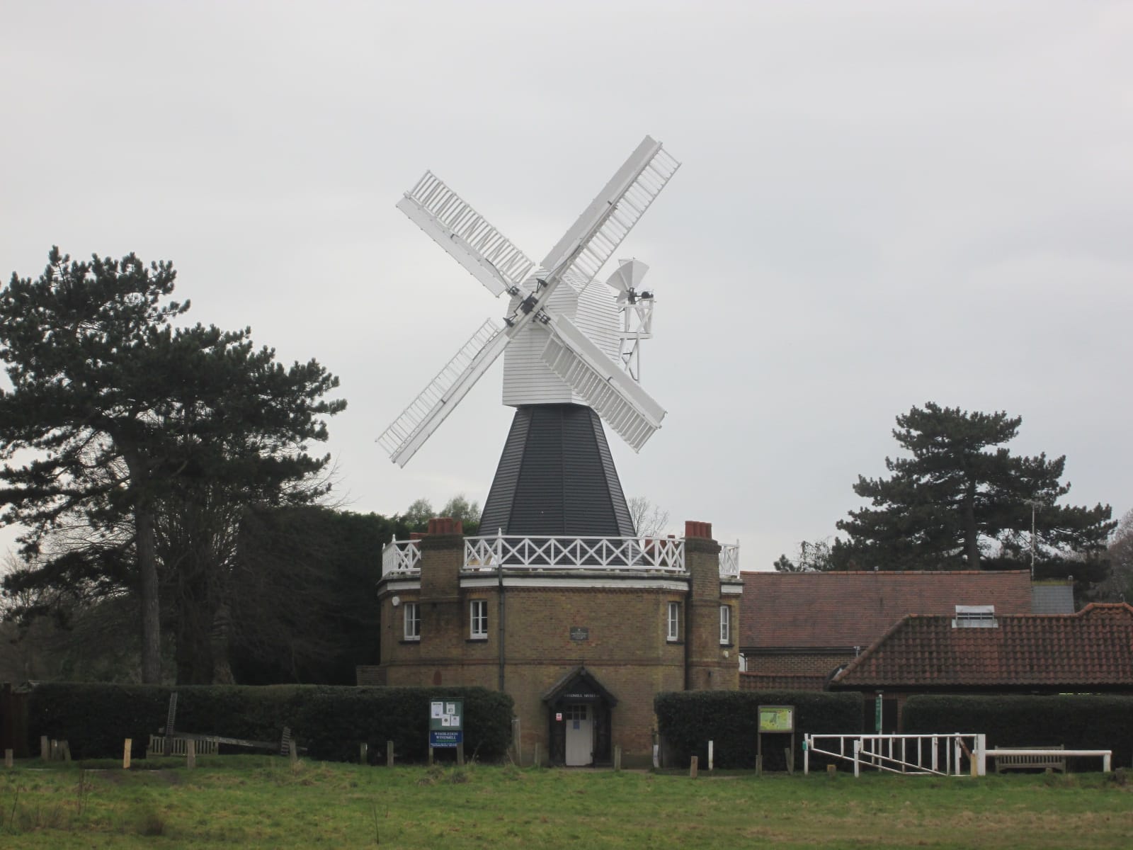 Windmill Tearooms photo 5