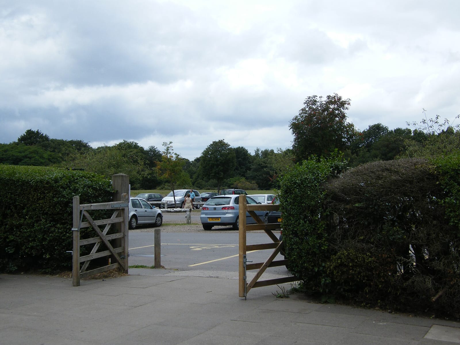 Windmill Tearooms photo 3