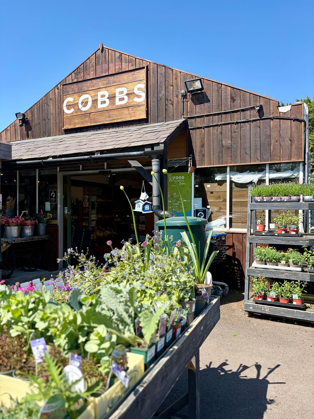 Cobbs at Winchester photo 5